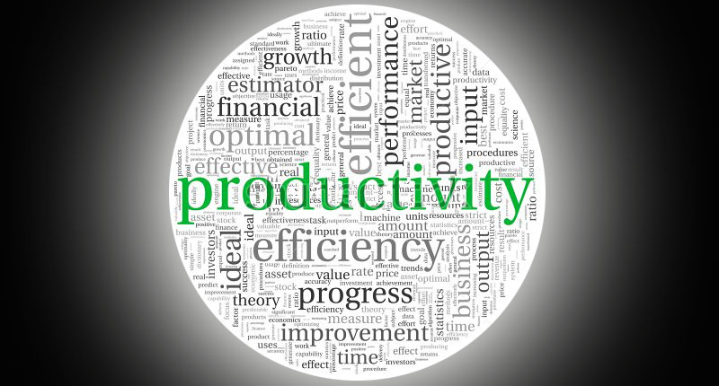 Memperluas Makna Produktivitas